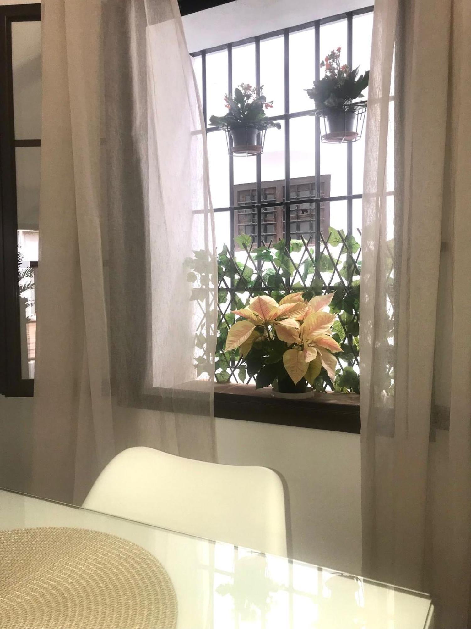 Apartamento El Museo 埃希哈 外观 照片