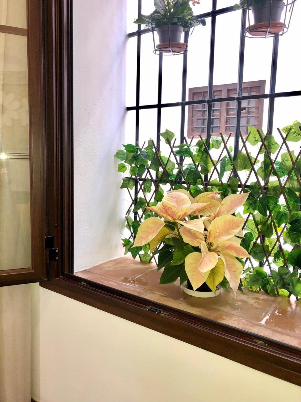 Apartamento El Museo 埃希哈 外观 照片